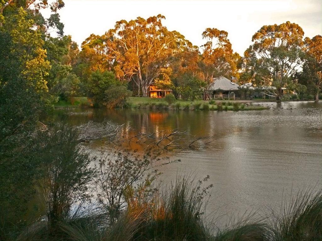 Villa The Burrow At Wombat Bend Dixons Creek Camera foto