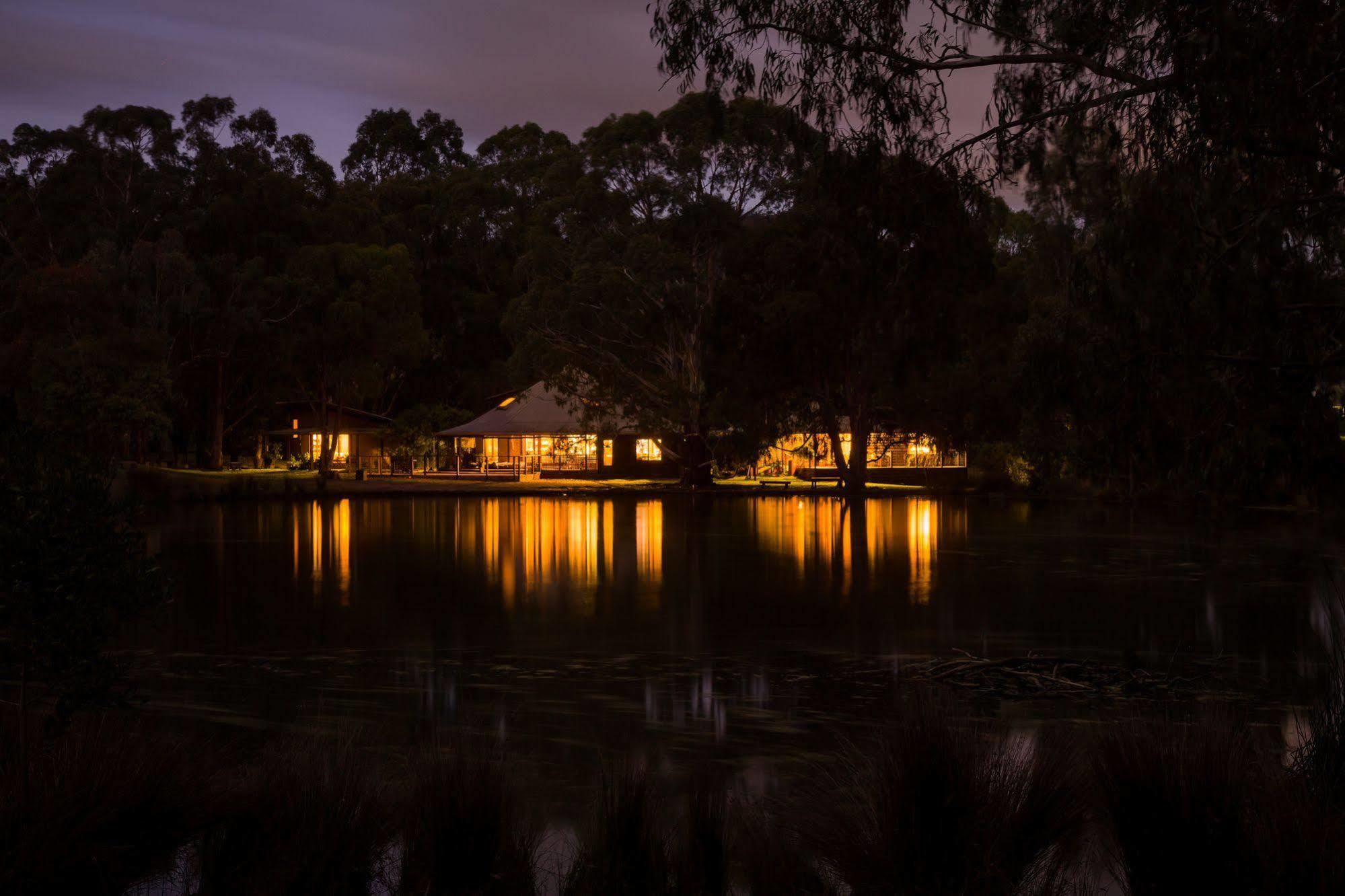 Villa The Burrow At Wombat Bend Dixons Creek Esterno foto