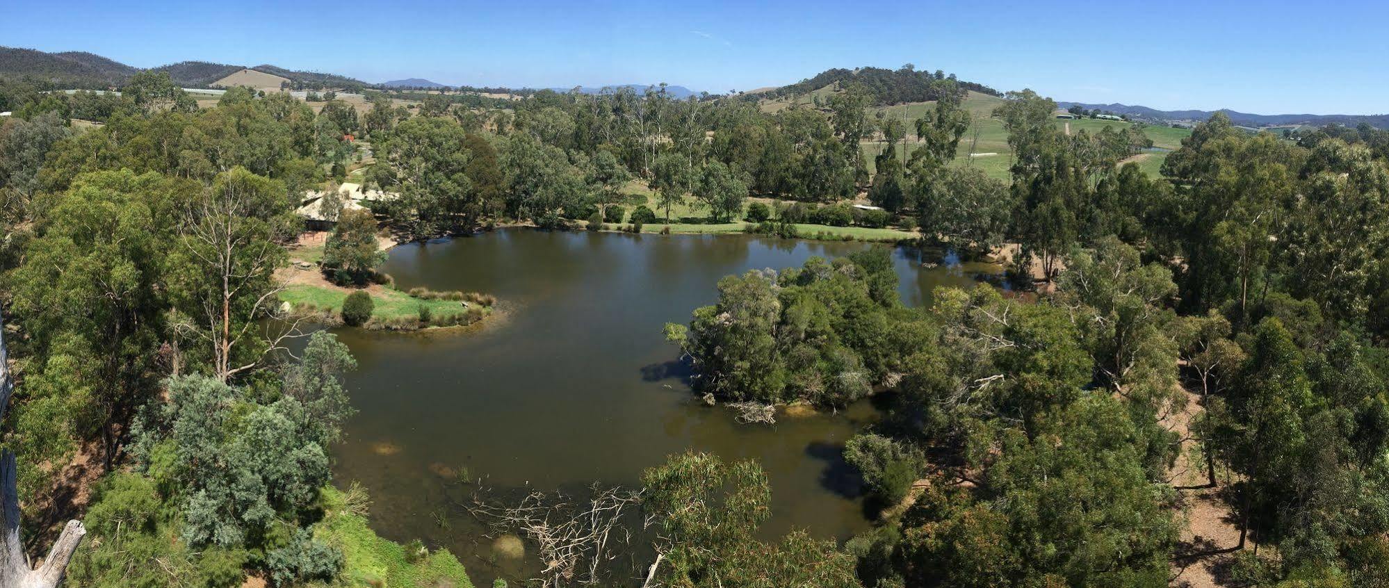 Villa The Burrow At Wombat Bend Dixons Creek Esterno foto