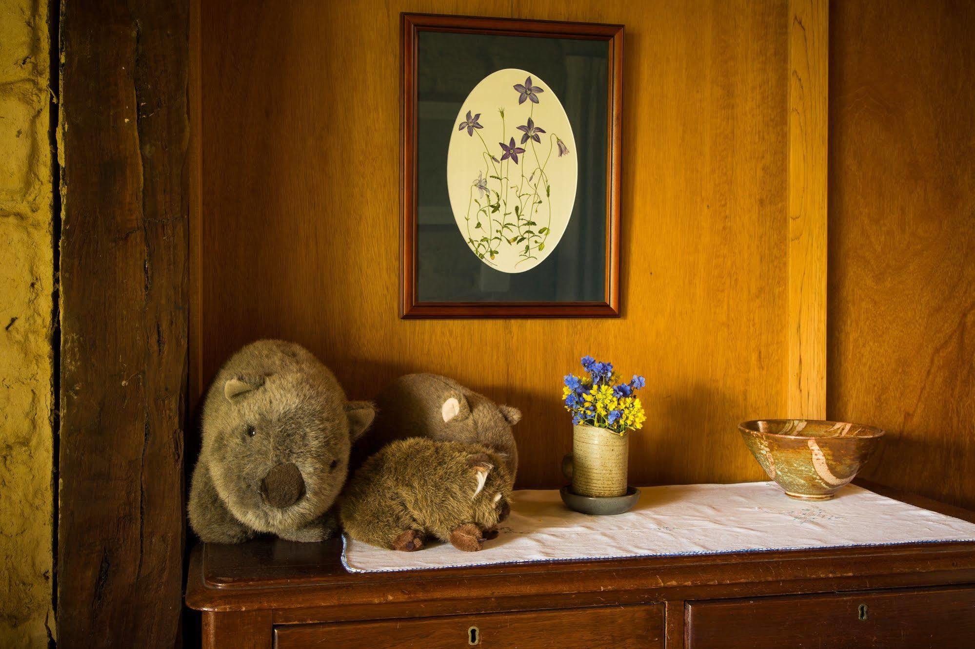 Villa The Burrow At Wombat Bend Dixons Creek Esterno foto