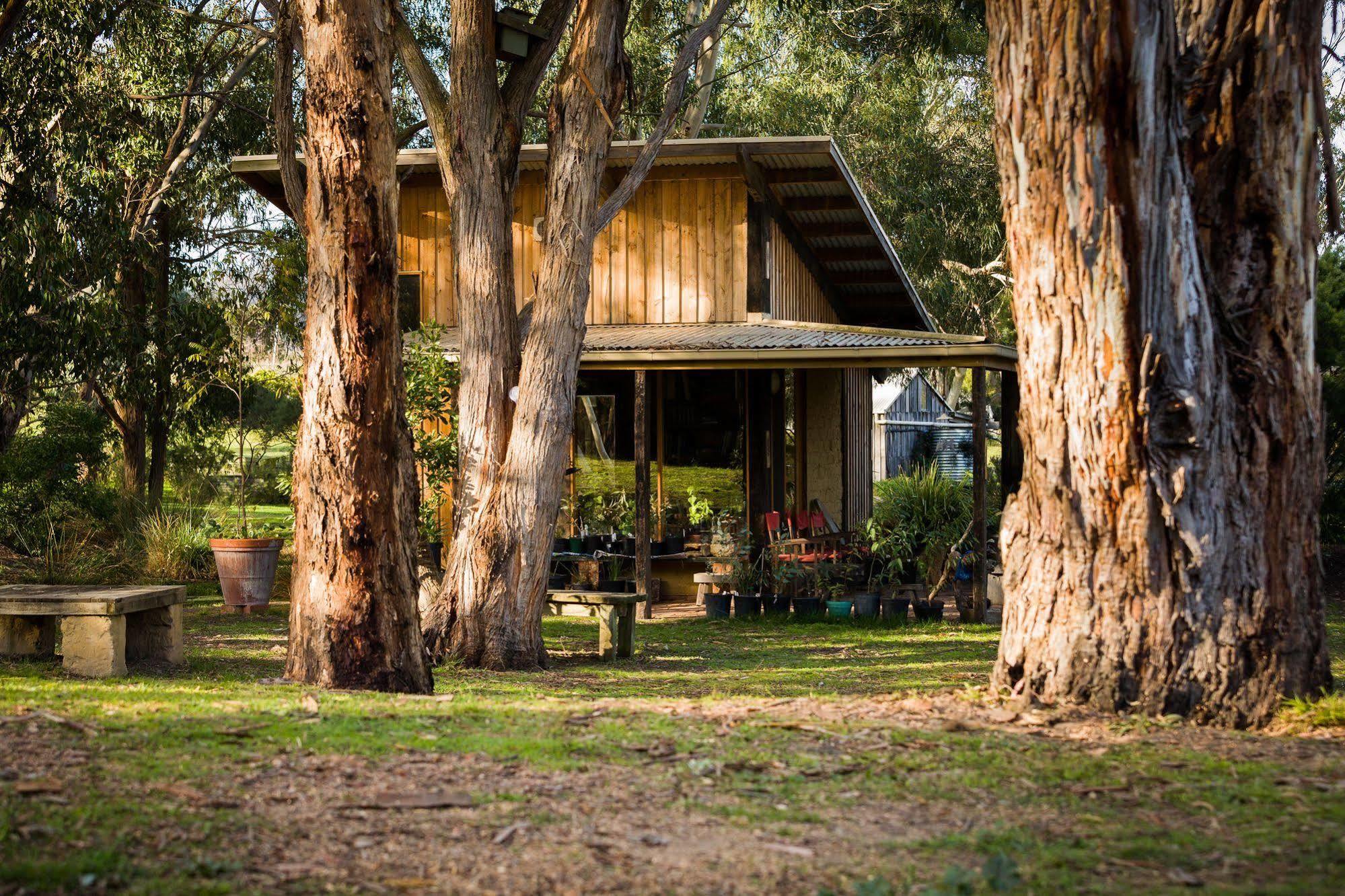 Villa The Burrow At Wombat Bend Dixons Creek Esterno foto