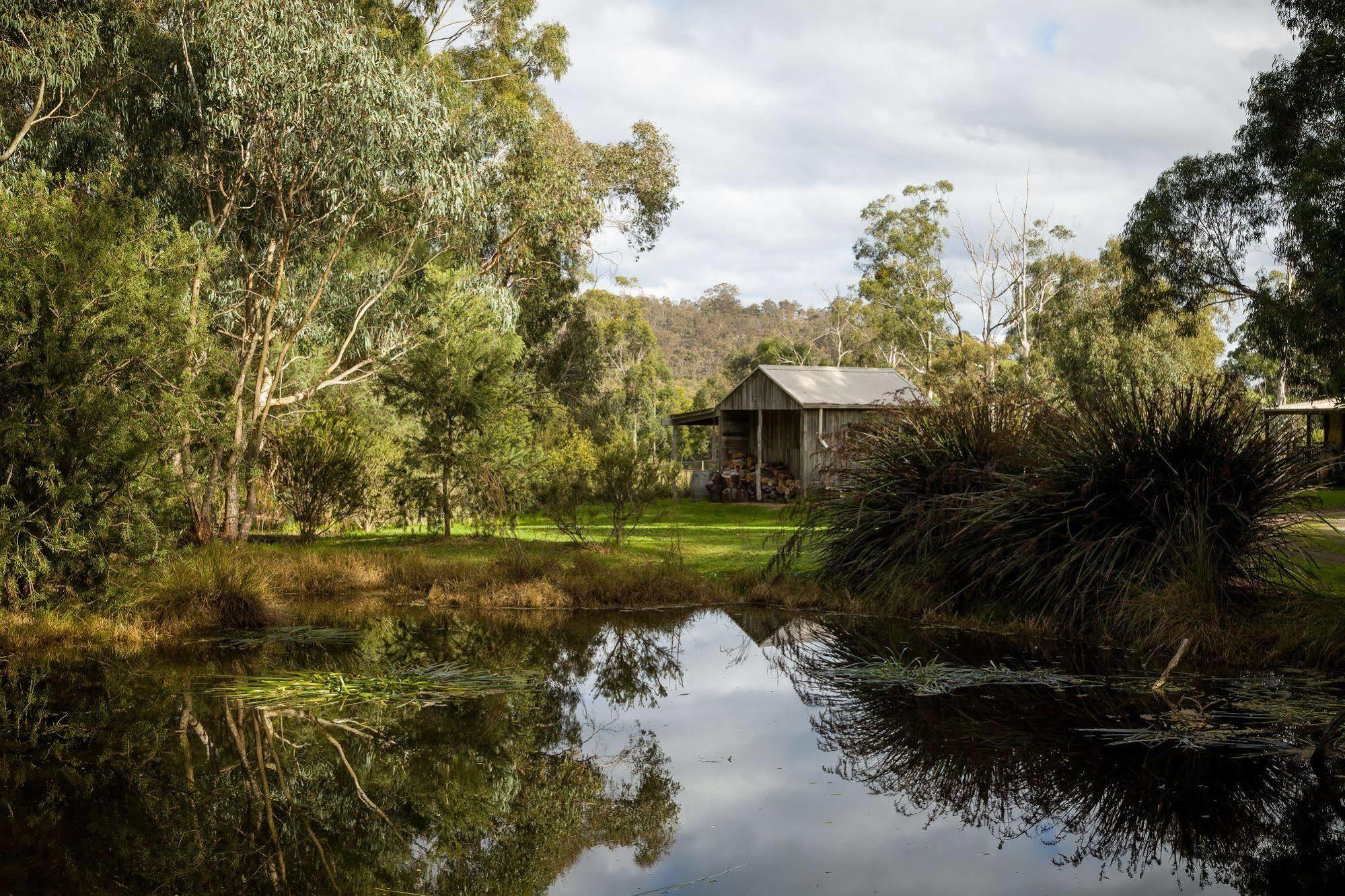 Villa The Burrow At Wombat Bend Dixons Creek Esterno foto