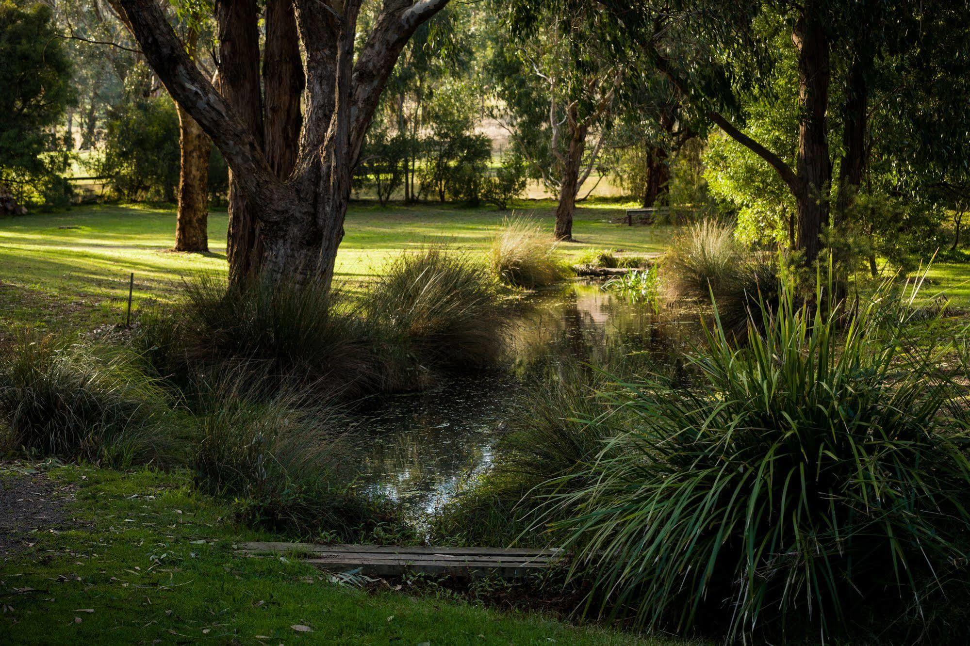Villa The Burrow At Wombat Bend Dixons Creek Esterno foto