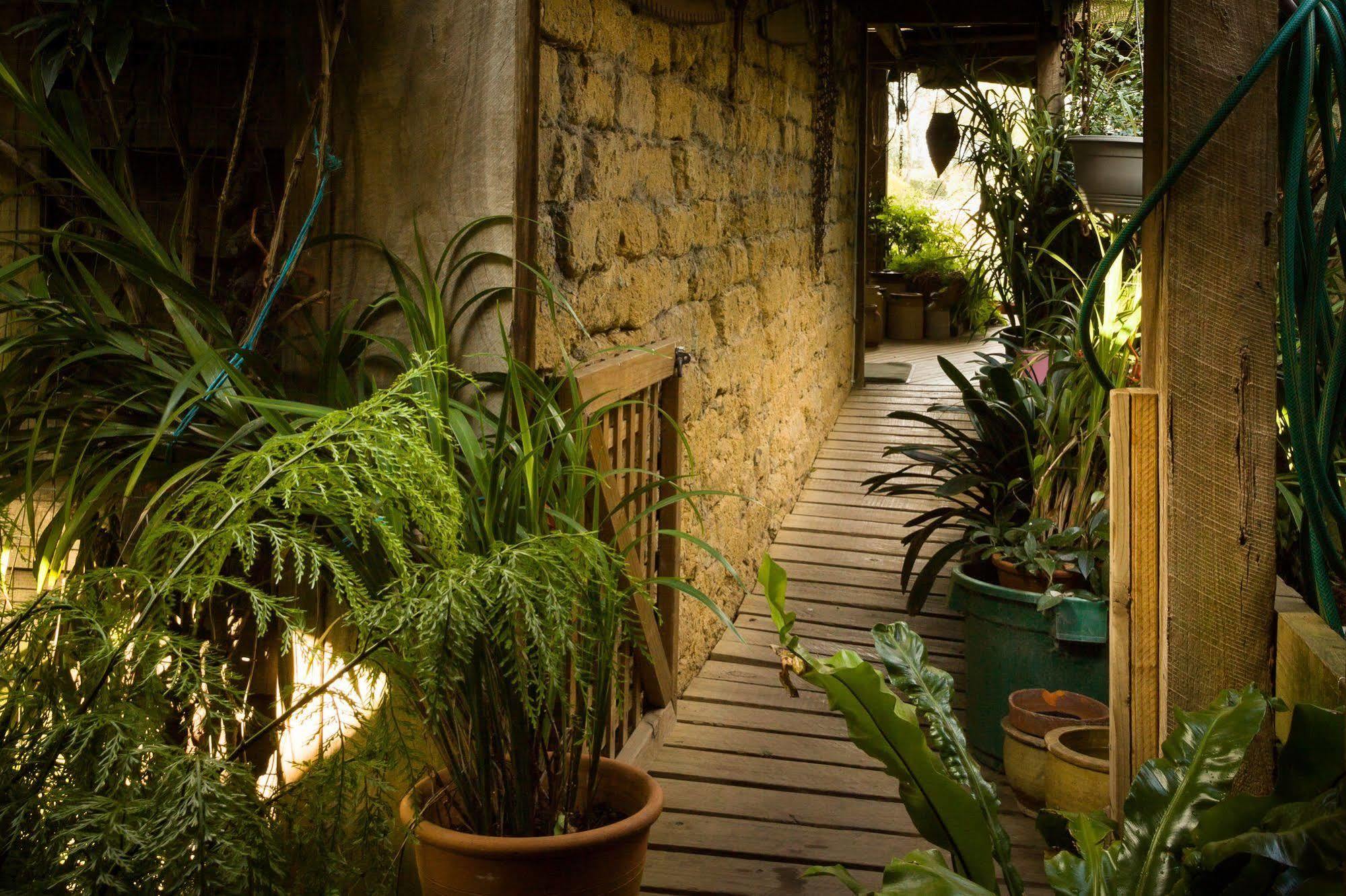 Villa The Burrow At Wombat Bend Dixons Creek Esterno foto