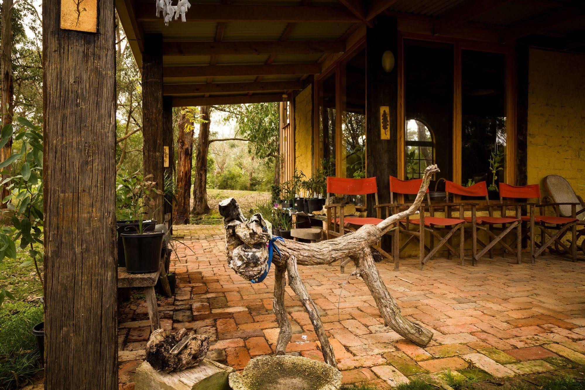 Villa The Burrow At Wombat Bend Dixons Creek Esterno foto
