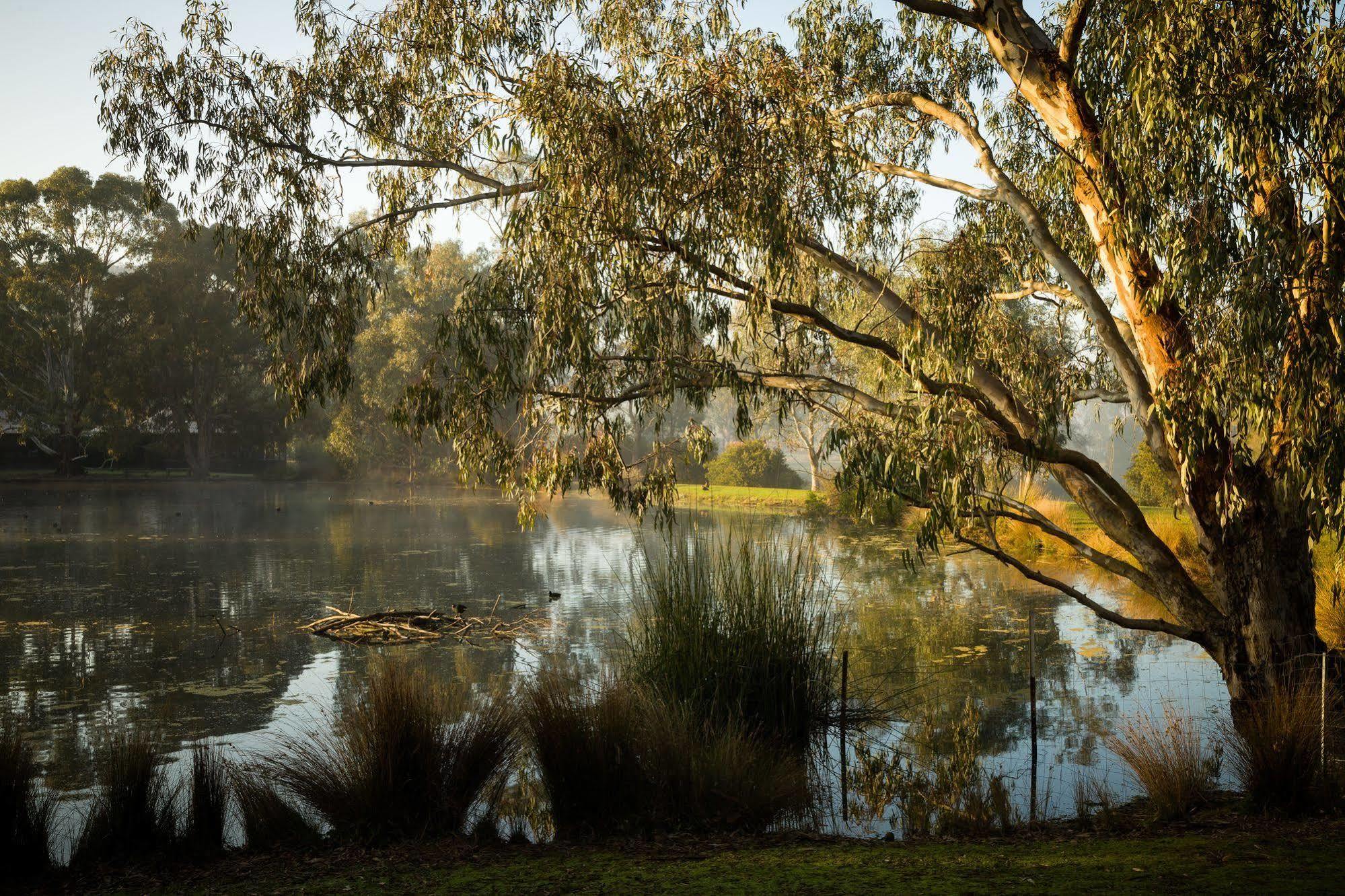 Villa The Burrow At Wombat Bend Dixons Creek Esterno foto