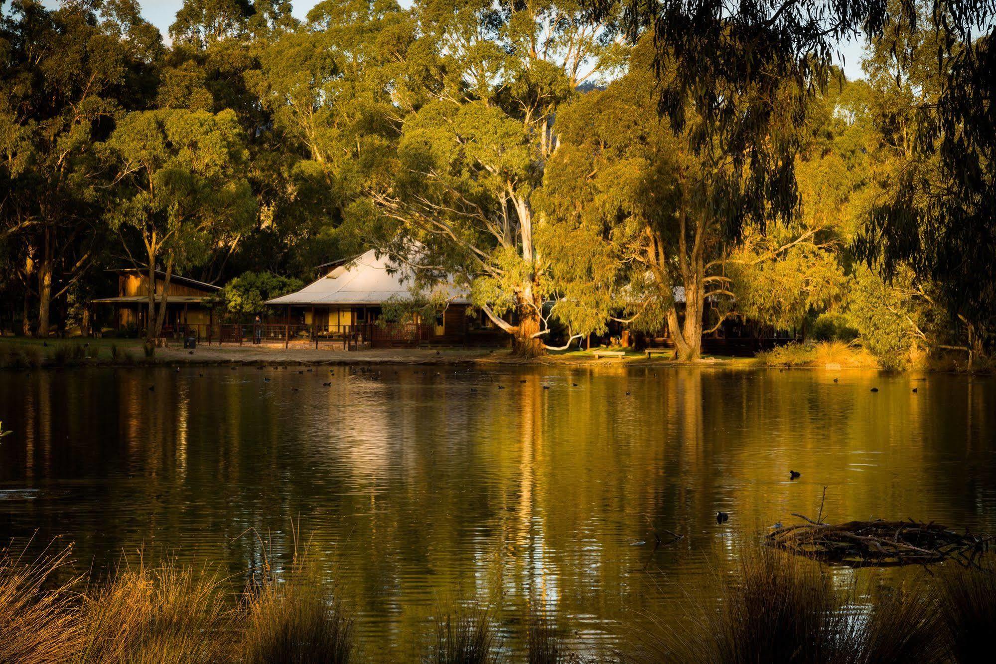 Villa The Burrow At Wombat Bend Dixons Creek Esterno foto